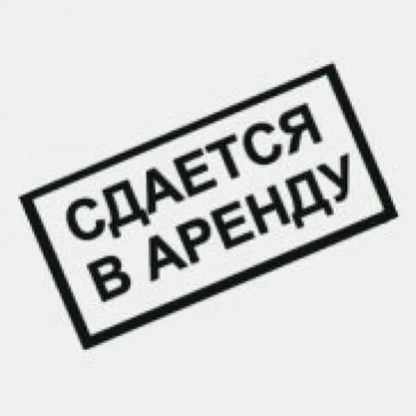 Сдается помещение в аренду. Сдается в аренду. табличка сдается в аренду. сдается помещение. сдам помещение надпись.