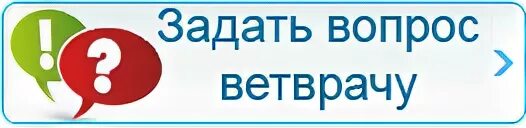 Ветеринарные вопросы с ответами. Вопрос ветврачу. Спроси ветеринара