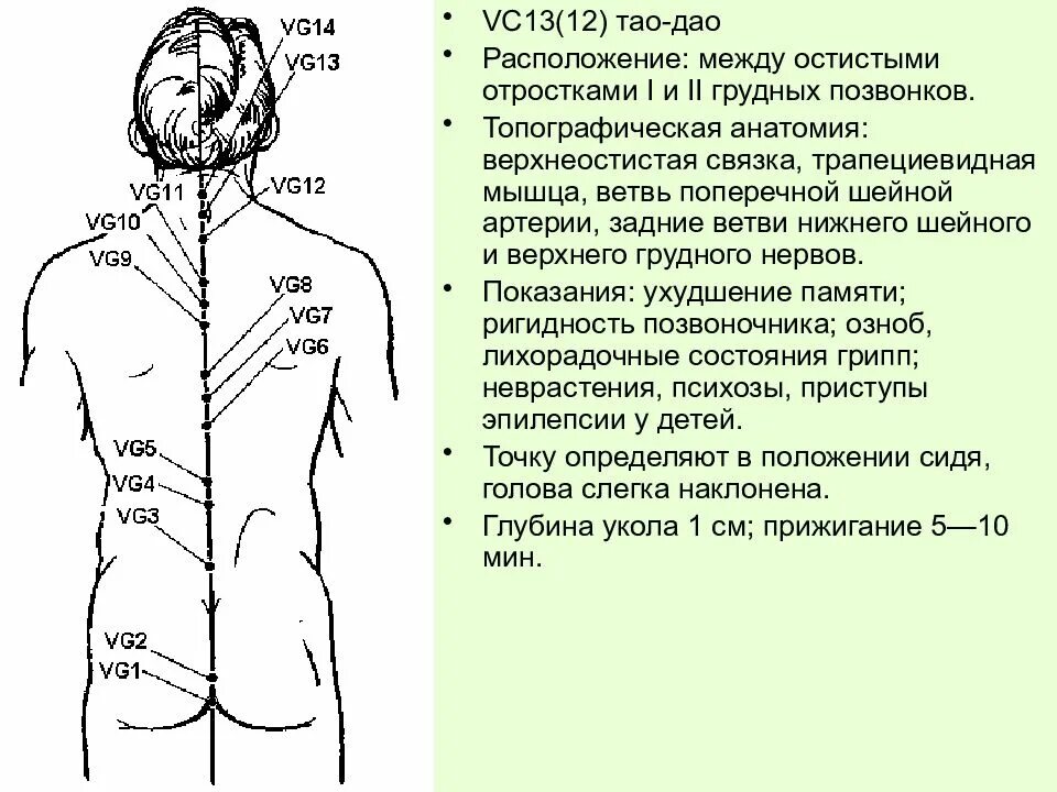 Переднесрединный Меридиан в китайской медицине. Переднесрединный Меридиан точки и показания. Передний срединный Меридиан VC. Меридиан переднесрединный точка VC.3. Меридианы имеют направление