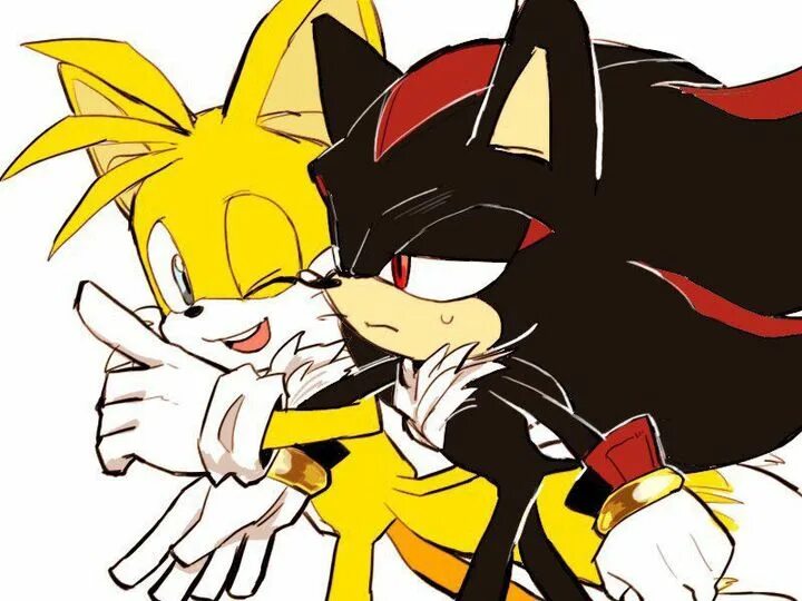 Шедоу и тейлз. Shadow and Tails Yaoi. Shadow x Tails. Shadails Yaoi. Shadow Tails 18.