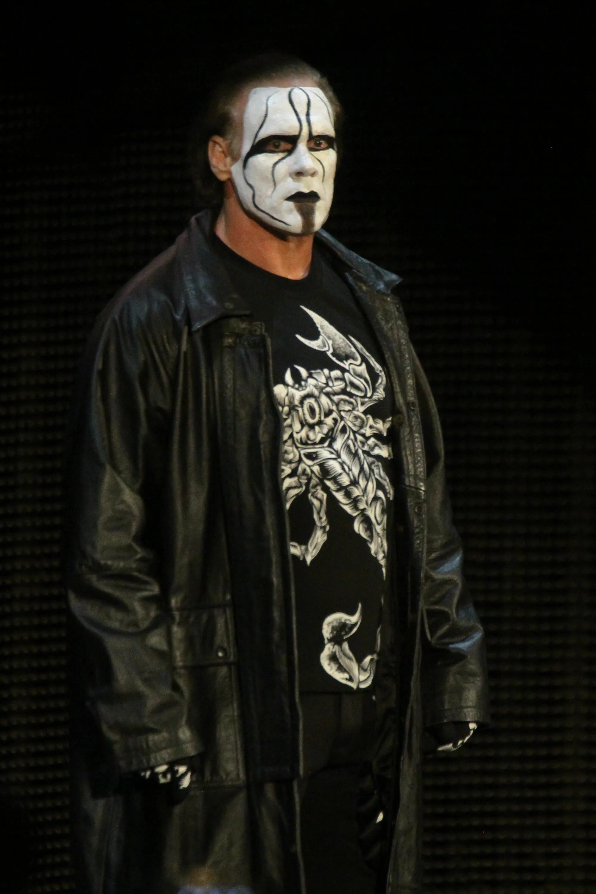 Как сделать стинг из бумаги. Стинг wwe. sting рестлер. стинг рестлер wcw. стинг рестлер сейчас.