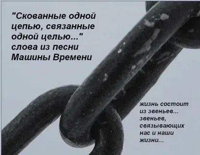 Ствол длинный жизнь короткая