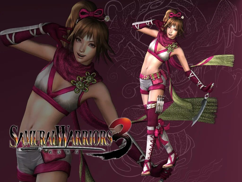 Куноичи 3д. Warriors orochi куноичи. sengoku musou kunoichi. samurai warriors kunoichi. samurai warriors 3 kunoichi.