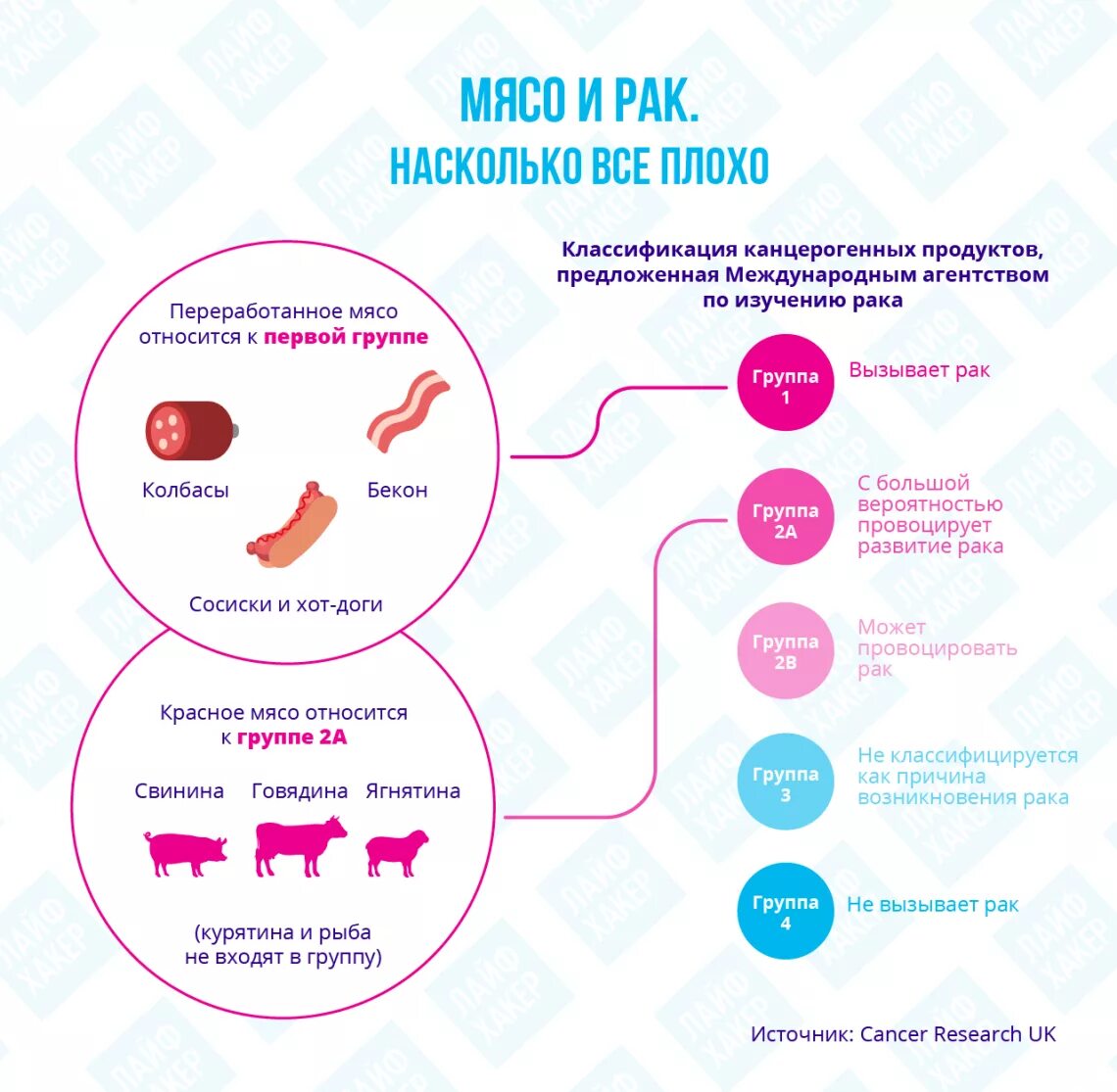 Насколько вредно для организма. Почему вредно есть мясо. Мясо и раковые заболевания.