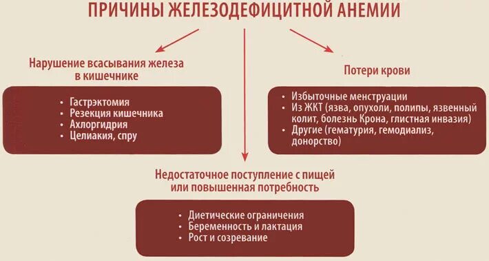 К анемии может привести недостаток. Причины развития железодефицитной анемии. Причины появления железодефицитной анемии. Железный дефицит анемия причины. Причины железодефицитной анемии факторы.