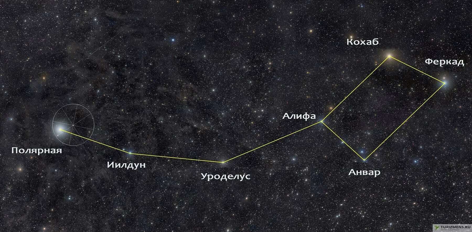 Звезды большой и малой медведицы. Большая и малая Медведица Полярная звезда. Звезды в созвездии малой медведицы. Созвездие Альфа Центавра. Ярчайшая звезда в северном полушарии