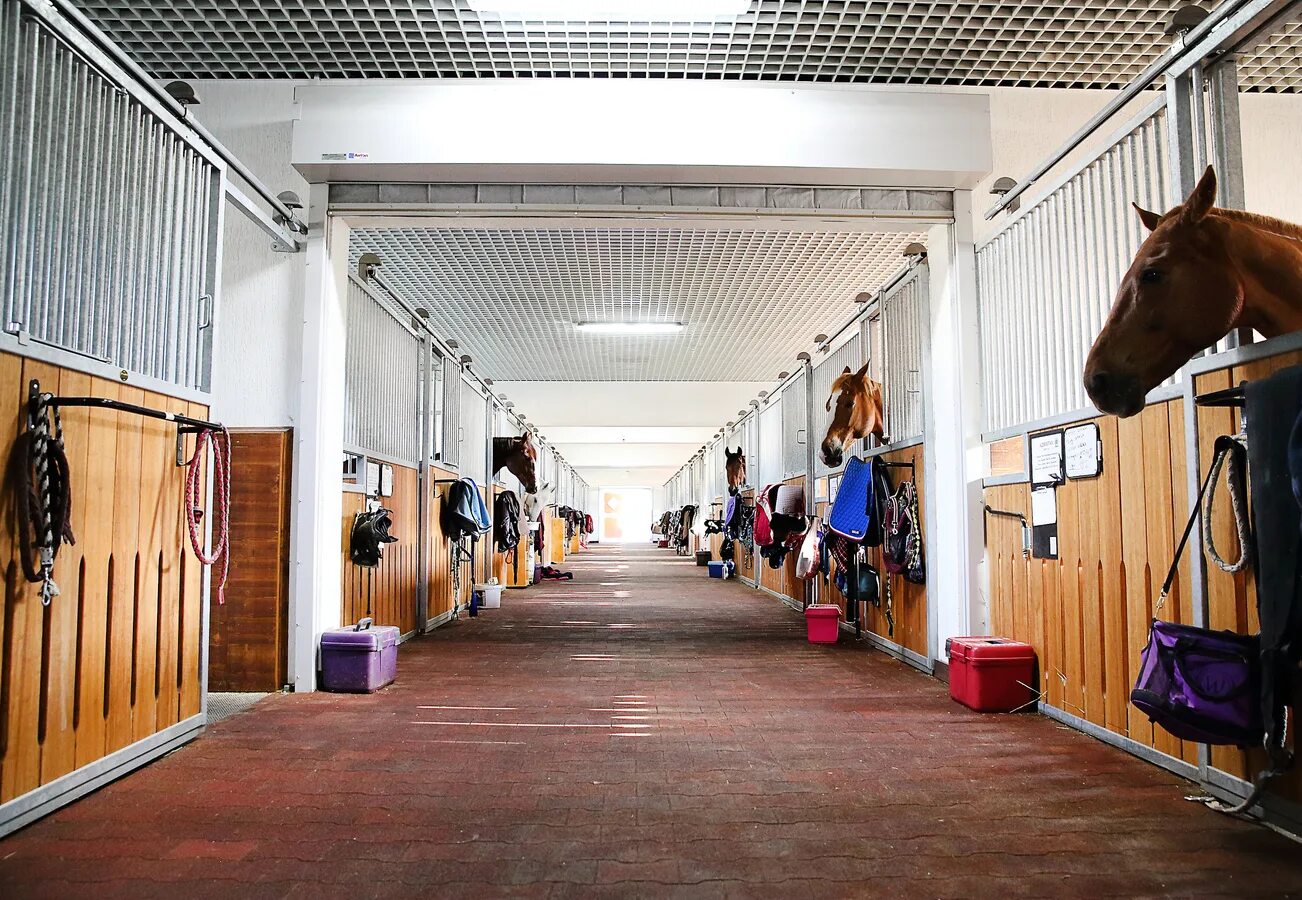 Конюшня джона лоуренса. Усадьба середниково конюшня. Конюшня. Конюшни кэполтон. Конюшни westphalian stables архитектура.