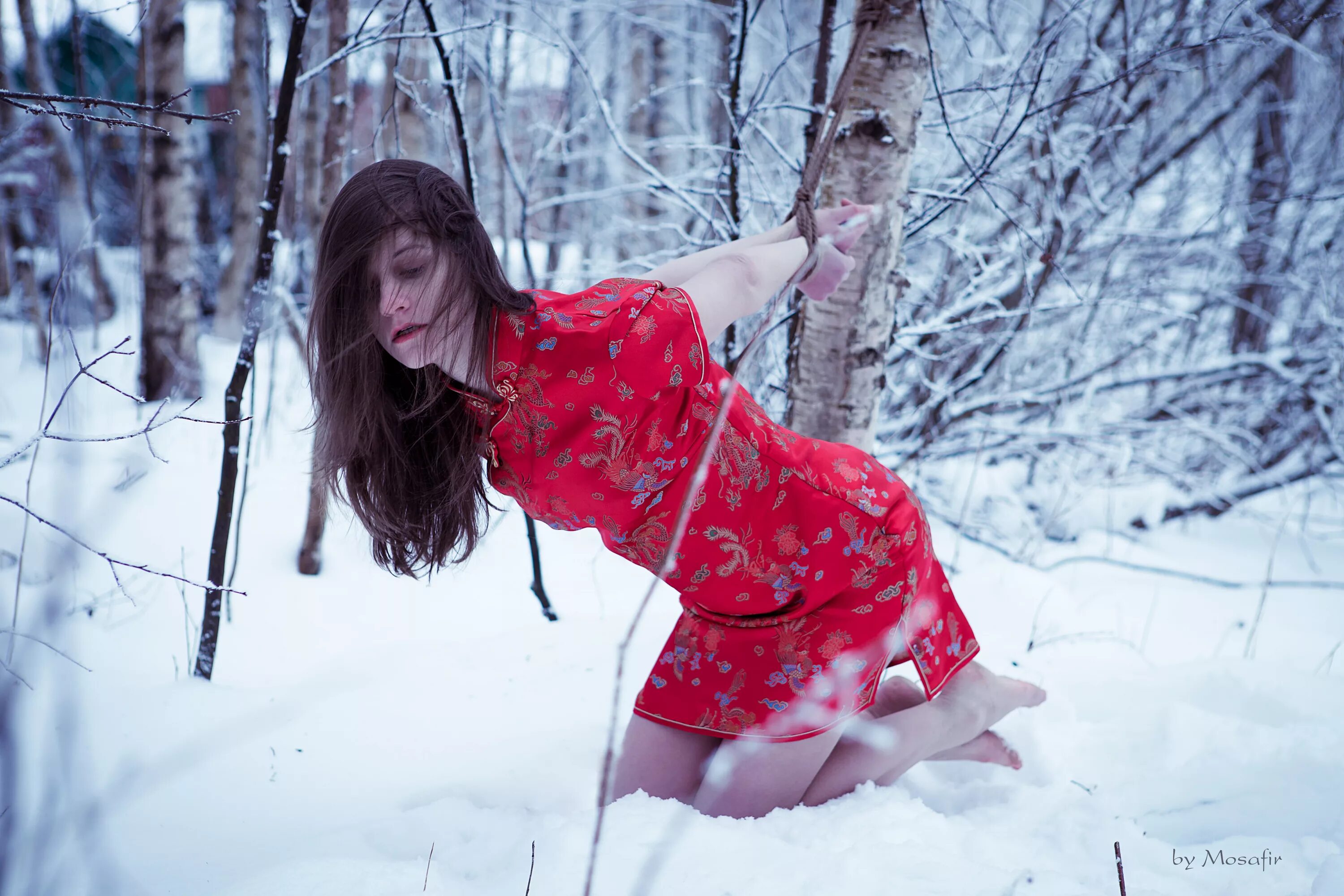 Девушка привязана к дереву. Девушка зимой в лесу. Девушка привязана к дереву. Привязанная к дереву девочка. Босые девушки на природе.