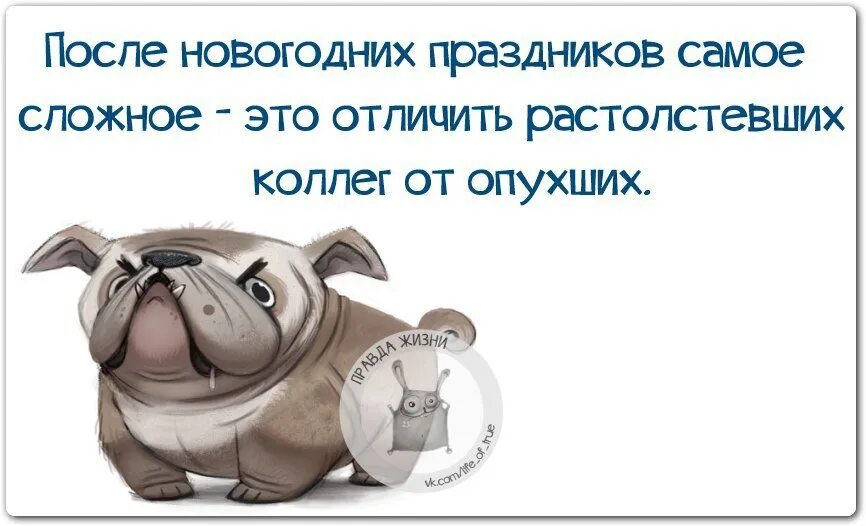 1 день после каникул. После новогодних праздников. Юмор на работу после праздников. Завтра на работу после новогодних праздников приколы. Прикольные открытки на работу после новогодних праздников.