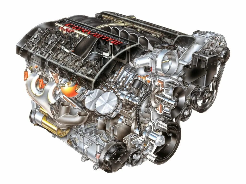 C 6 i