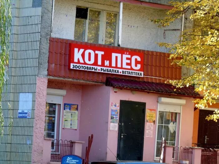 Магазин кот и пес. Светлогорск зоомагазин. светлогорск магазины. светлогорский 54.