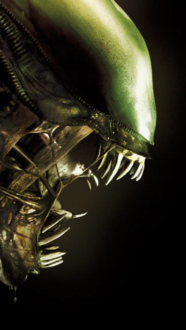 Alien movie. Чужой антология - Alien Anthology (1979-1997). Чужой 1979 корабль пришельцев. Alien 3 Xenomorph.