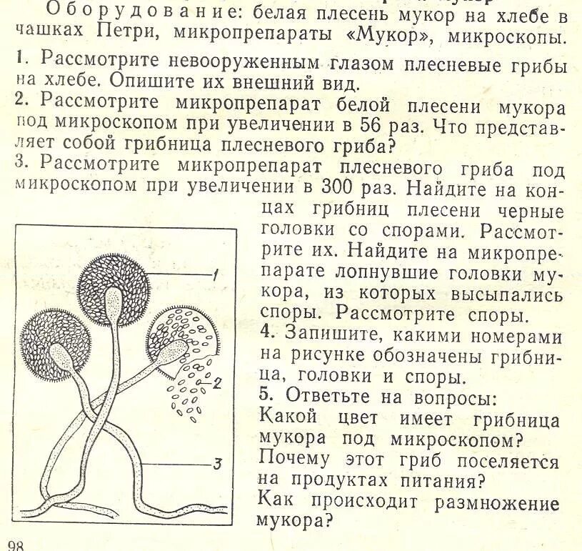 Рассмотрите невооруженным глазом