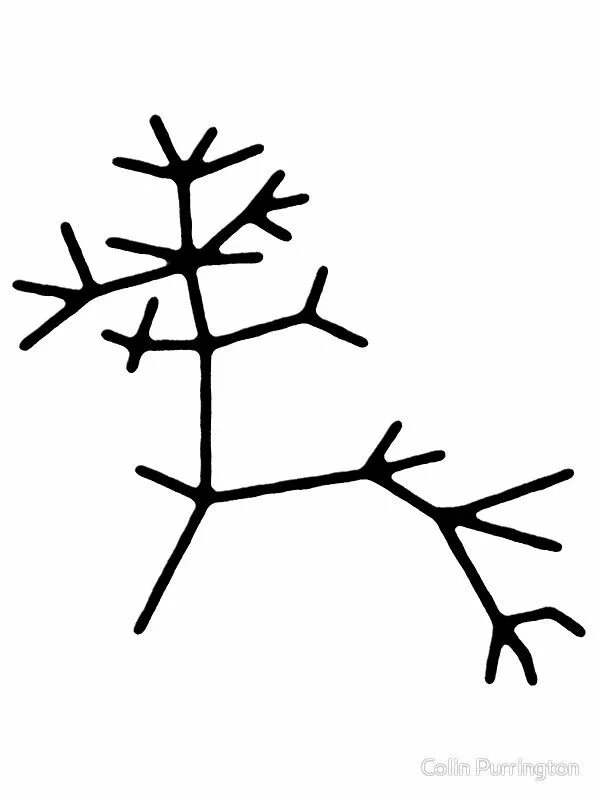 First hand evolution. Дарвин деревья. Сц дарвин. First hand evolution. Дарвин сеть садовых гипермаркетов.