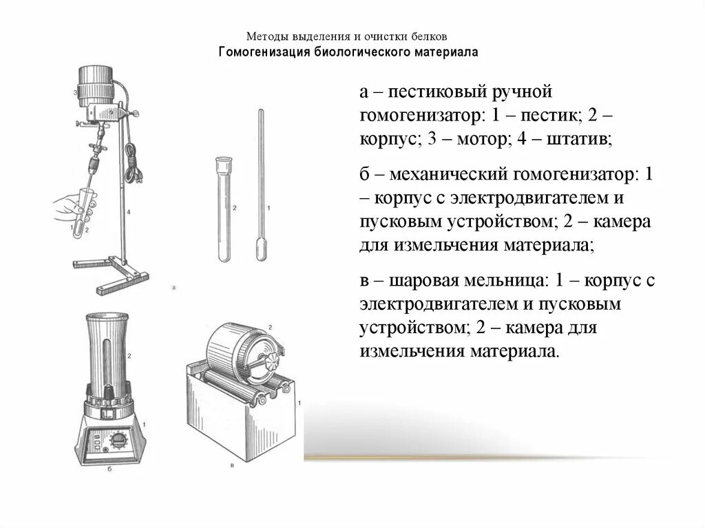 Методы очистки белков. Методы выделения и очистки белков. Очистка белка - гомогенизация. Гомогенизация биологического материала. Гомогенизация это биохимия.