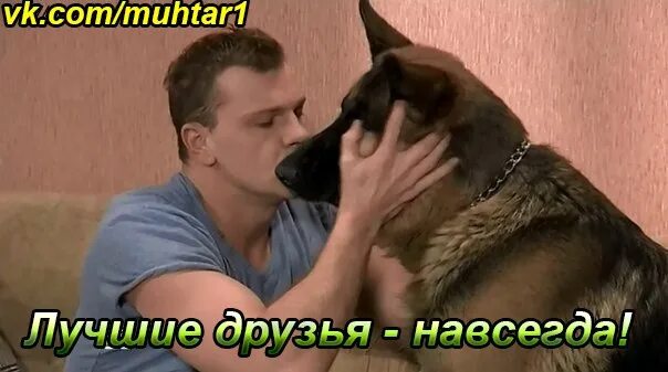 Мухтар и максим жаров. Павел вишняков и мухтар. Павел вишняков возвращение мухтара 2. Сериал возвращение мухтара 2, сериал мухтар. Павел вишняков возвращение мухтара 2.