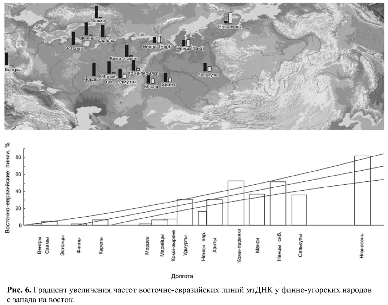 Гаплогруппа чувашей. Гаплогруппы днк. Днк гаплогруппы казанские татары. Гаплогруппа татаров. Чувашские гаплогруппы.
