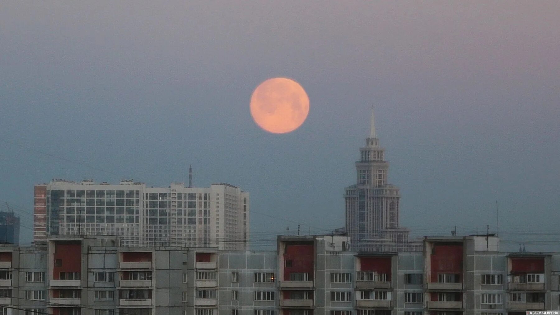 Будет ли солнечное затмение в москве. Солнечное затмение 2022 в Москве. Солнечное затмение октябрь 2023. Кровавая Луна 2022 в Москве. Солнечное затмение 2023 в Москве.