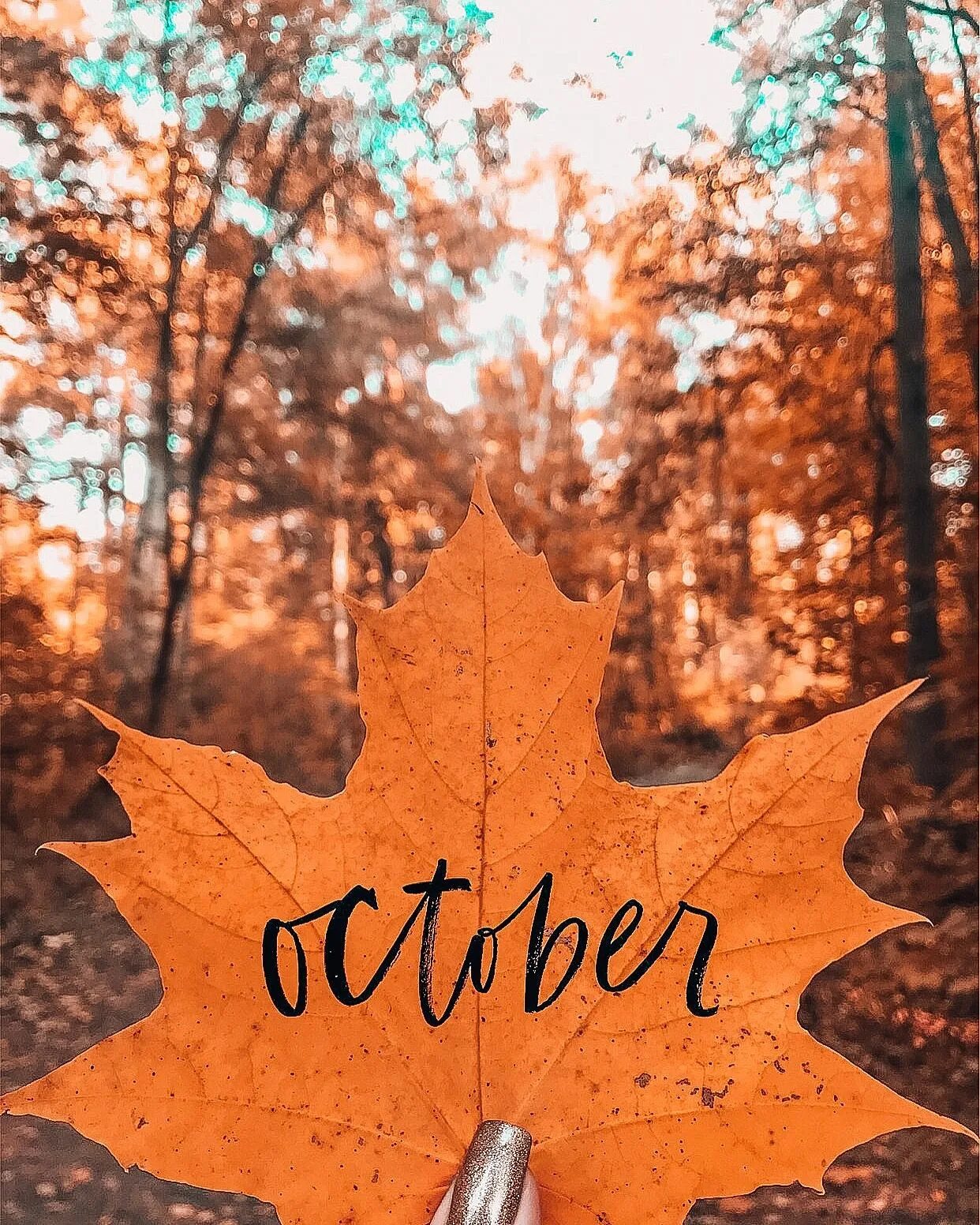 October first. Осень октябрь. Осенние надписи. Осень надпись. Прекрасная осень с надписью.