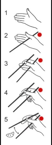 Как правильно держать палочки для сушь. Как правильно держать палочки для суши. Как пользоваться китайскими палочками. Как пользоваться палочками для суш. Как держать палочки для суш.