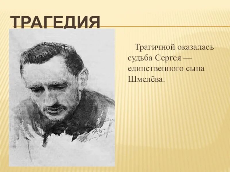 Шмелев последний выстрел кратко. Шмелев последний выстрел кратко