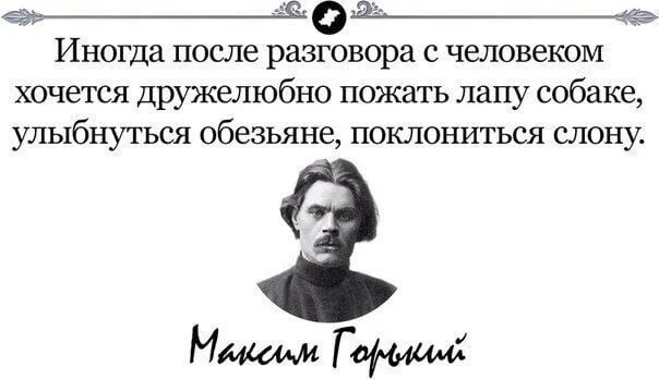 Цитаты. Иногда после разговора с человеком. После общения с человеком хочется пожать лапу собаке. Иногда разговаривать с людьми. Человек не хочет отвечать на вопросы