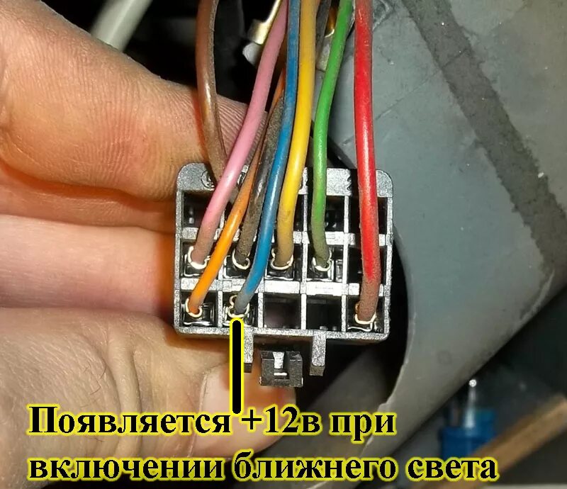 Схема подключения приборной панели газель 3302. Провод спидометра приборной панели газ 3110. Схема подключения приборной панели волга 3110. Схема подключения приборного щитка газели. Схема подключения щитка приборов газ 3110.