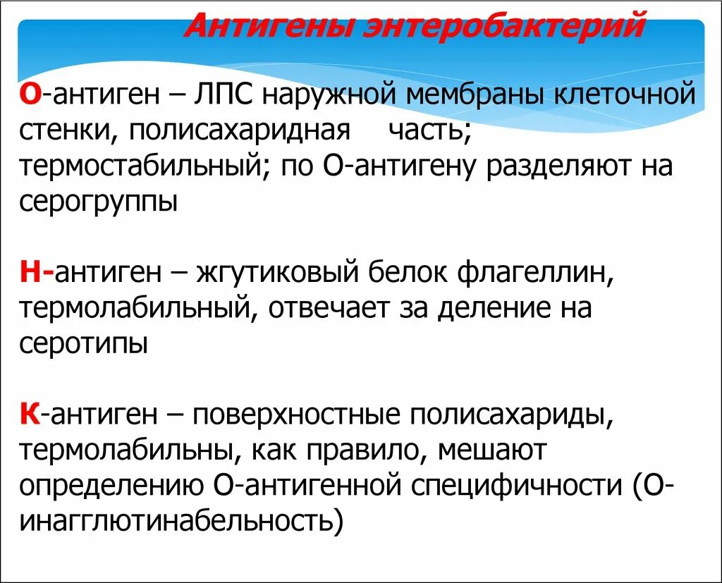 О и н антигены микробиология. Антигенная структура. O антиген. Антиген состоит из. Листерия латынь серовары.