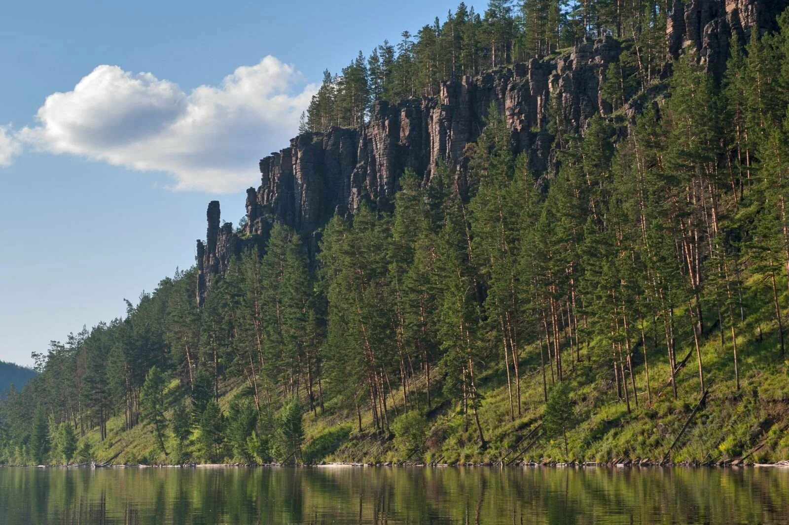 Тайга какой край. Река Ангара Иркутская область. Река Ангара Красноярский край. Природа Братск Ангара. Река Ангара Усть Илимск.