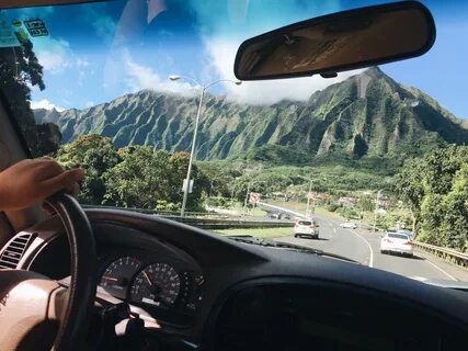 Morning drive
