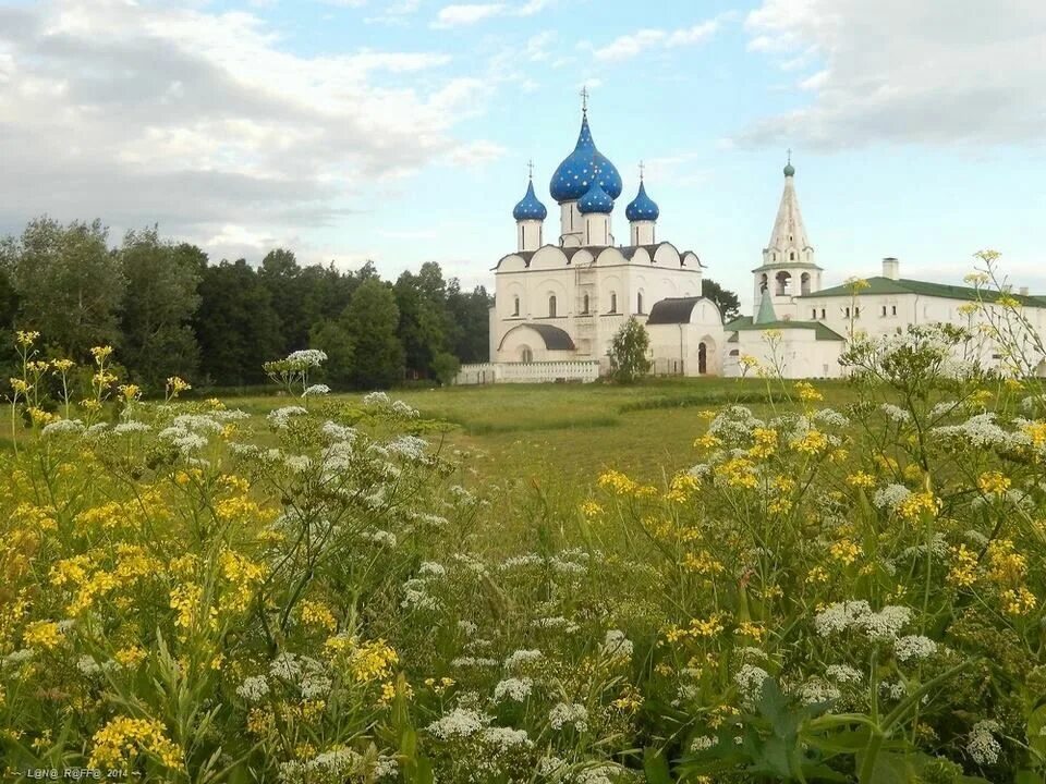 Клип матушка святая русь. Береза и Церковь. Русь церкви березы. Россия Березуи и Церковь. Россия березы Церковь.