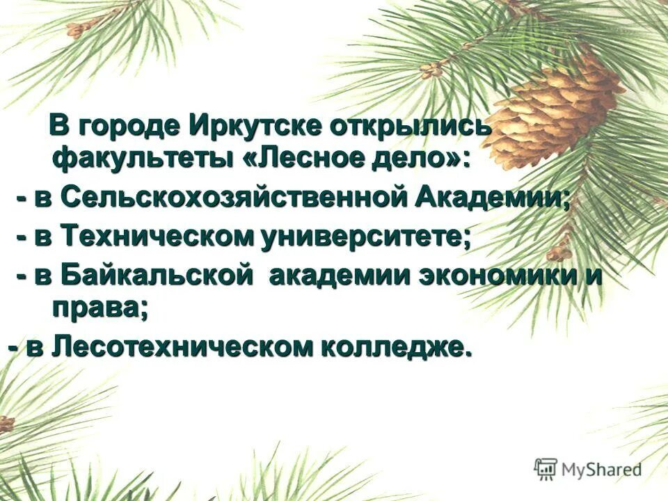 центр дополнительного развития детей иркутск