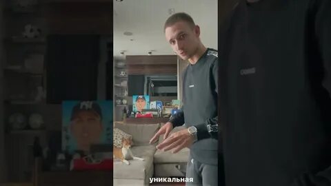 Лита литвин