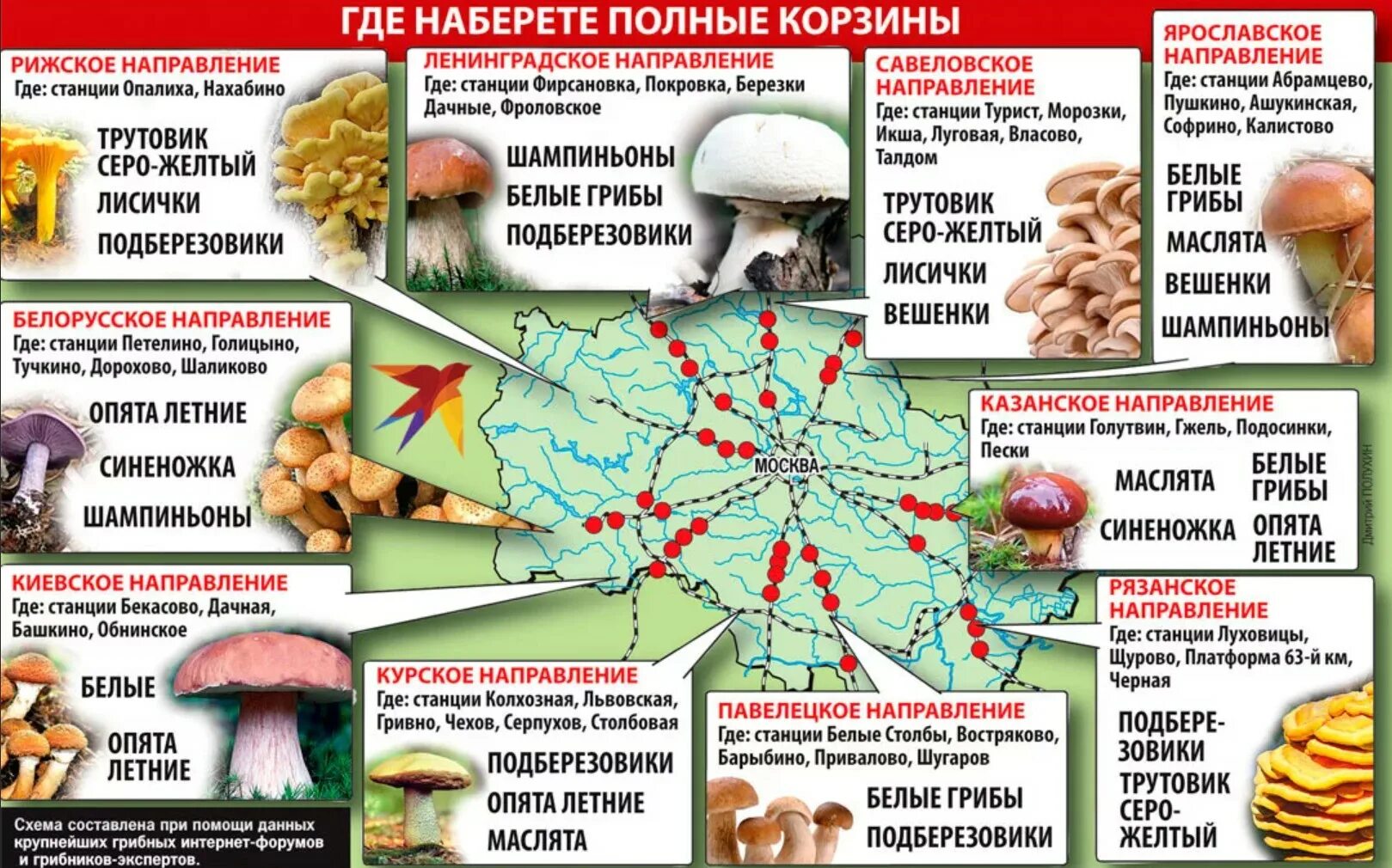 Грибы в самолете можно. Карта белых грибов в Подмосковье 2022. Карта грибника: грибные направления Подмосковья. Карта грибных мест Подмосковья 2021 года. Грибы в Подмосковье карта.