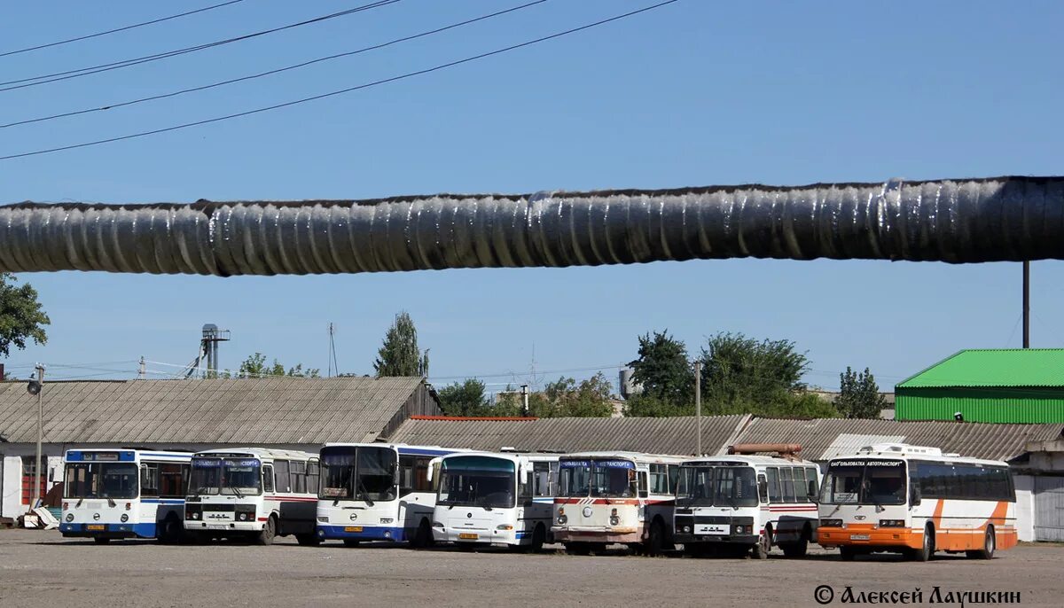 Динская АТП. Крымское АТП Чалтырь. Вокзал автобус. Мензелинское АТП. Автобус вокзал стадион