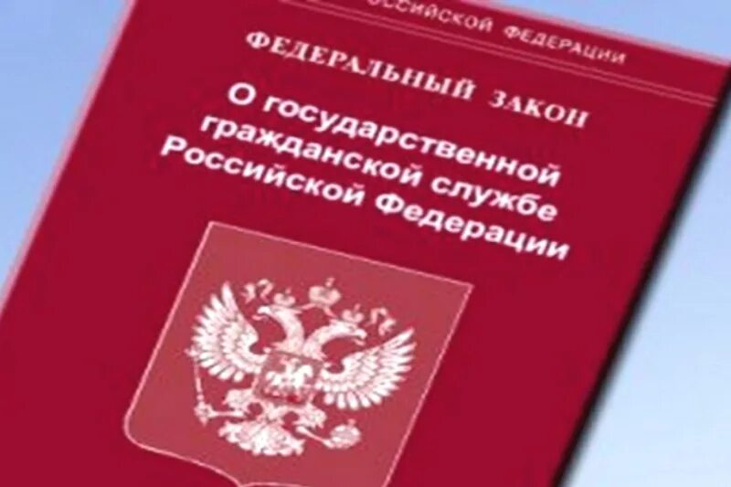 О гражданской службе российской федерации 79 фз. Государственная Гражданская служба. Федеральный закон о государственной службе. Федеральная государственная Гражданская служба. О государственной гражданской службе Российской Федерации.