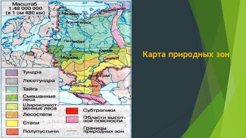 Природные зоны Восточно европейской равнины на карте. Природные зоны Поволжья карта. Карта природных зон европейской части России. Природные зоны Восточно европейской равнины.