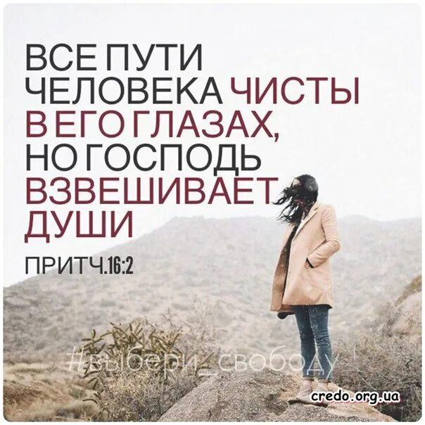 Прямое в человеке есть душа