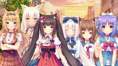 Neko paradise