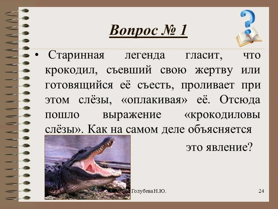 Ее съели текст. Крокодильи слезы фразеологизм. Выражение Крокодиловы слезы. Почему крокодильи слезы. Фразеологизмы про крокодила.