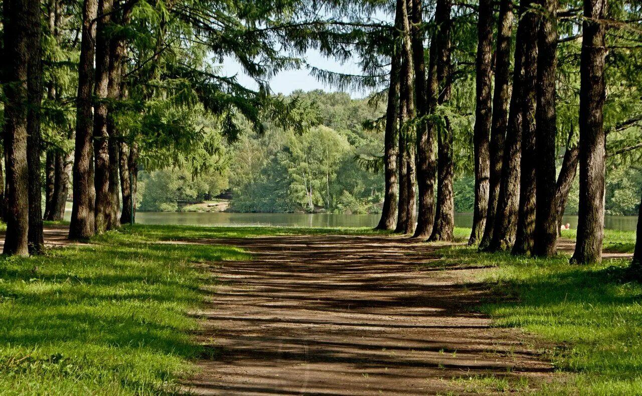 Park in. Тимирязевский парк Москва. Тимирязевский лесопарк. Тимирязевский лес Москва. Тимирязевский сквер Москва.