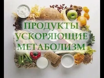 Продукты обмена веществ