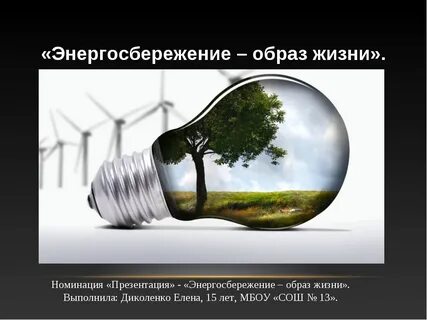 Принцип бережливости