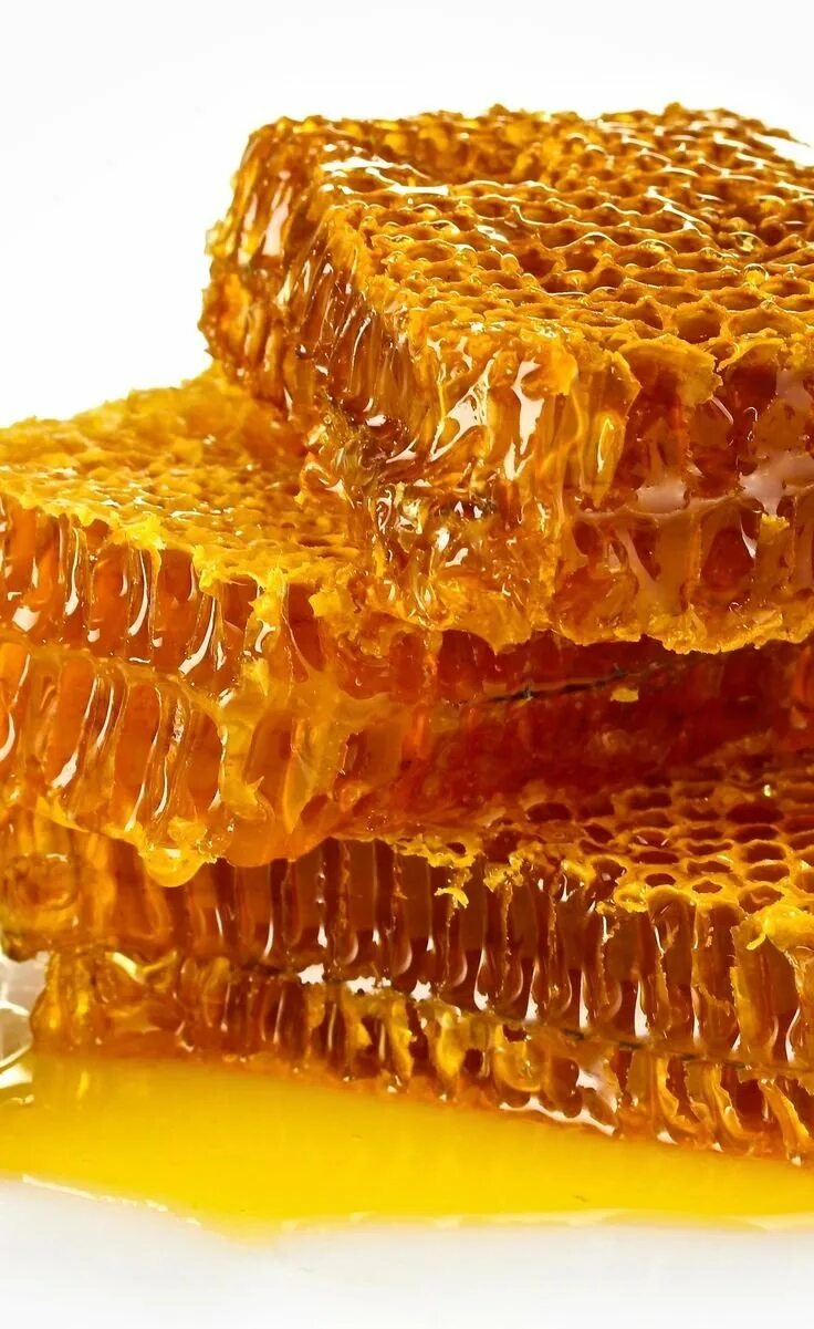 Можно есть соты с медом. Соты меда. Мед соты пчелы. Пчелиные соты с медом. Мед в сотах забрус.