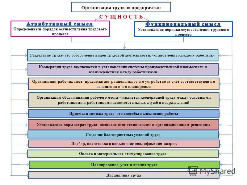 организация трудовой деятельности на предприятии. организация работы и разделение. специализация труда сосредоточение деятельности.