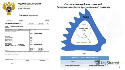 Система казначейских платежей