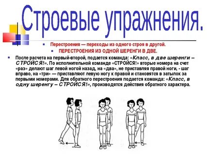 Строевые упражнения на физкультуре