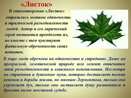 Том листа