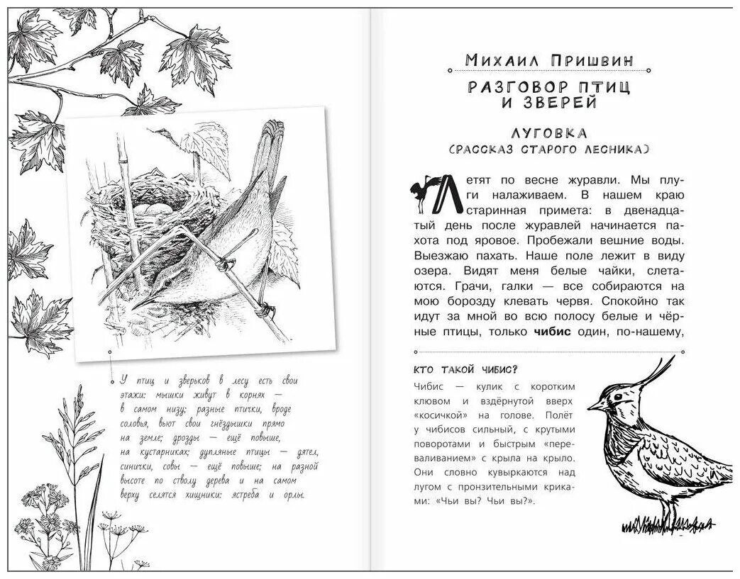 Дзен рассказы про животных читать. Мои звери. Бианки рассказы о животных росмэн. Рассказы на дзен читать бесплатно. Дзенские рассказы.