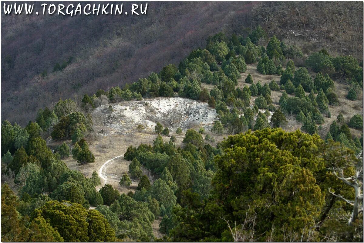 можжевеловый лес новороссийск. шесхарисское можжевёловое редколесье новороссийск. шесхарисское можжевеловое редколесье. шесхарисское можжевёловое редколесье. редколесье кавказа.